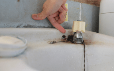 Consejos de mantenimiento del baño para detener el moho y los hongos